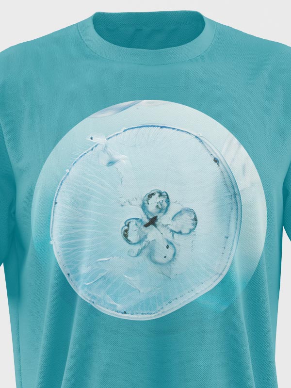 تیشرت آبی - تصویر 2